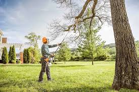 Leaf Removal in Bowling Green, KY