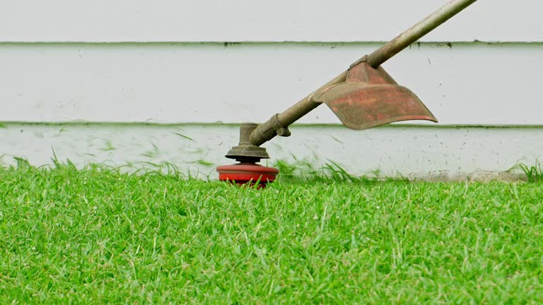 Reliable Bowling Green, KY Tree Services Solutions